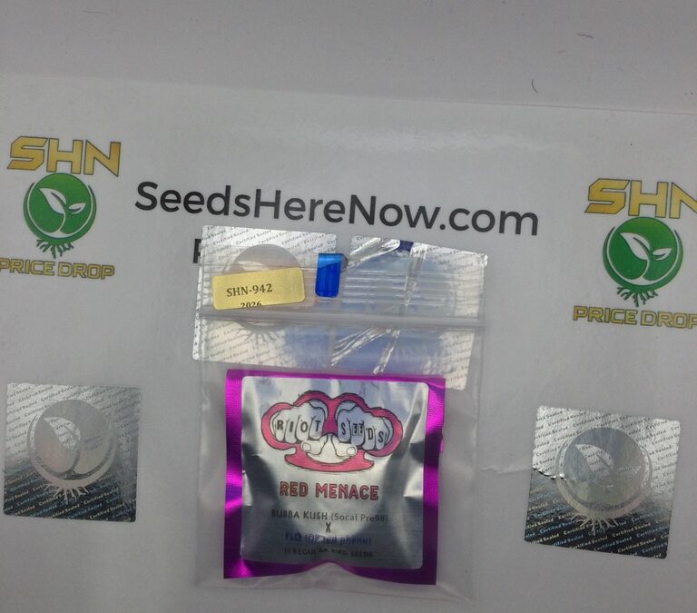 How Cannabis Seed Auctions Work: A Complete Beginner’s Guide