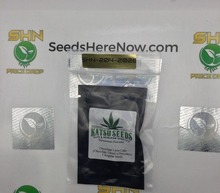 Regular vs. Feminized Cannabis Seeds: Which Should You Buy?