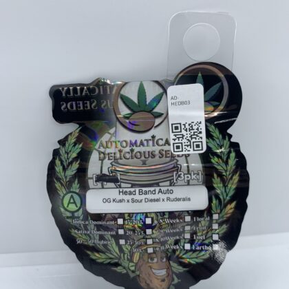 5for5 Automatically Delicious - Headband Auto {AUTOFEM} [3pk]