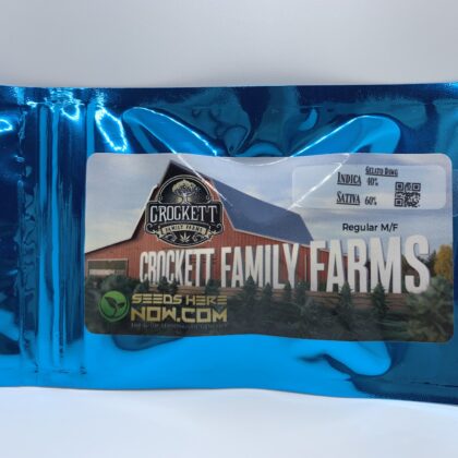 5for5 Crockett Family Farms - Gelato Dawg {REG} [5pk]