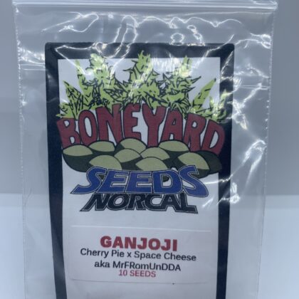 Boneyard Seeds - Ganjoji {REG} [10pk]