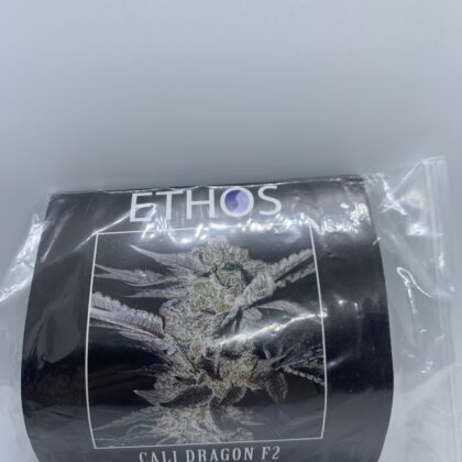 Ethos Genetics - Cali Dragon F2 {REG} [10pk]