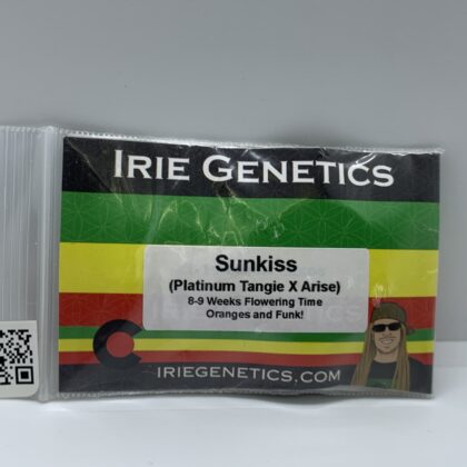 Irie Genetics - Sunkiss {REG} [5pk]