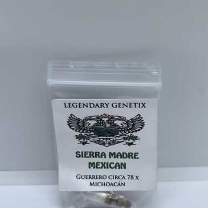 Snow High Seeds - Sierra Madre Mexican [Reg] [5pk]