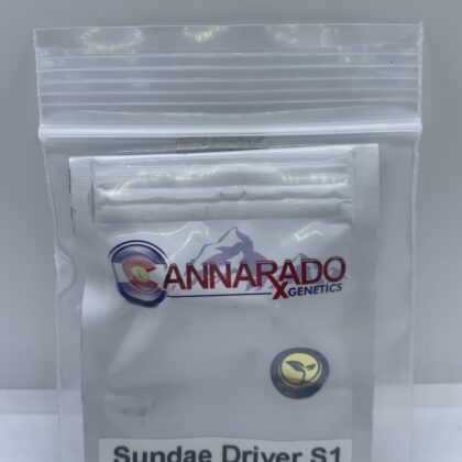 Cannarado Genetics - Sundae Driver S1 [Fem] [6pk]