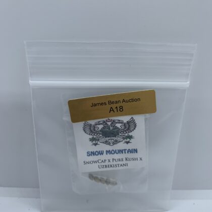LotA18 Snow High Seeds - Snow Mountain {REG} [5pk]