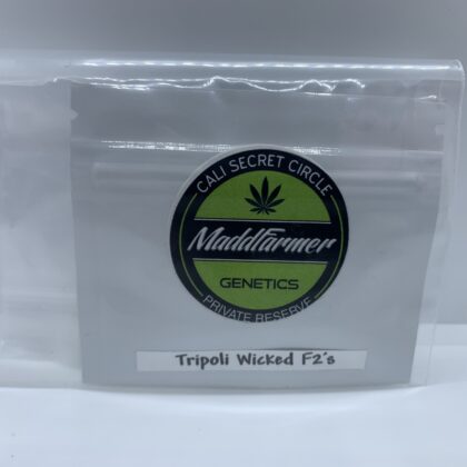 LotB28 Maddfarmer Genetics - Tripoli Wicked F2's {REG} [10pk]